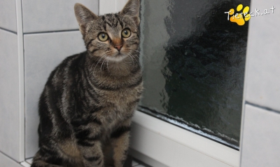 4019-1759678248-00568300