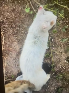 559676720_32620660740866127_5863129476500793899_n