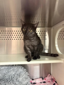 558043383_32638722875726580_7063004050451036921_n