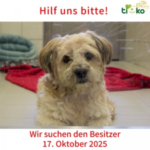 565359231_1184839766900709_6538936095533511744_n