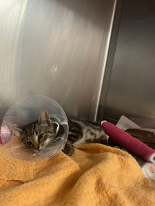 569024845_32885772344354964_7762370221408935934_n 569024845_32885772344354964_7762370221408935934_n