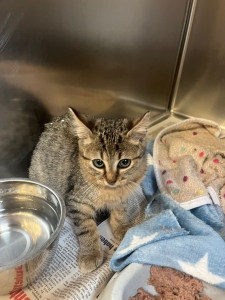 568742902_32885771567688375_1797840289845177825_n 568742902_32885771567688375_1797840289845177825_n