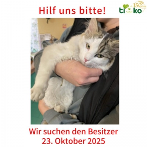 570337830_1189636203087732_8778112151198695096_n