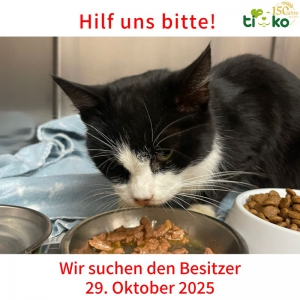 574024607_1194706872580665_4855781337532205178_n 574024607_1194706872580665_4855781337532205178_n