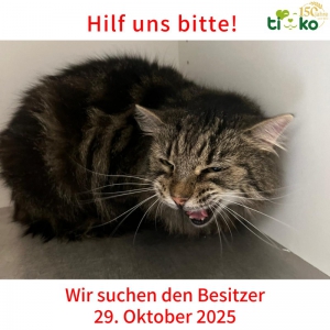 574434470_1194737495910936_7364168276022757831_n