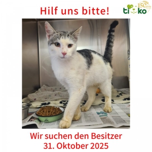 574056549_1196172305767455_7572848144565403667_n