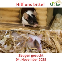 thumb_576511013_1199755035409182_4230059781367819761_n