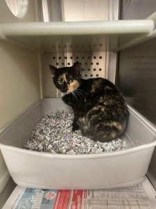 576486930_33174707875461408_3313401929516383083_n