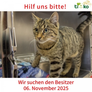 577370875_1201256568592362_1346888410704529345_n 577370875_1201256568592362_1346888410704529345_n