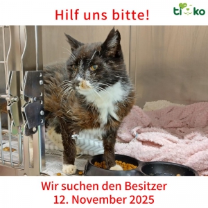 582430036_1206252151426137_3255721829413907218_n 582430036_1206252151426137_3255721829413907218_n