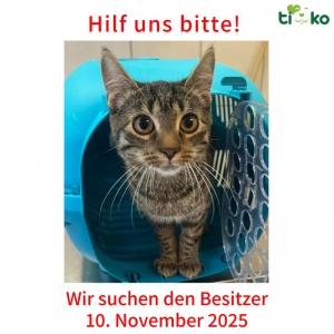 581132622_1204556778262341_2503401713353245121_n 581132622_1204556778262341_2503401713353245121_n