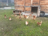 thumb_581800172_33302205156045012_1777136108005239625_n