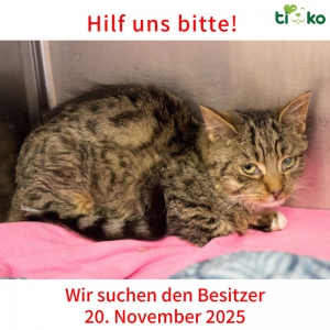 585356125_1212264884158197_3468602079624126476_n