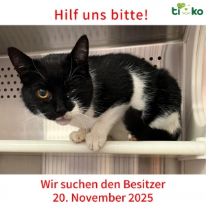 583081115_1212251340826218_3782944173038102475_n