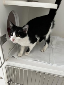 fundkater24.11.2025 fundkater24.11.2025