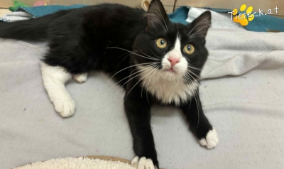 4073-1765702943-36939400