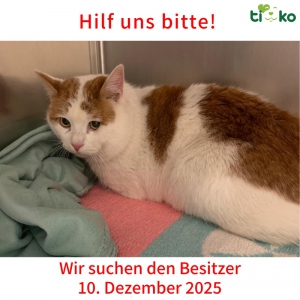 594162880_1226786152706070_1529263646732218702_n 594162880_1226786152706070_1529263646732218702_n