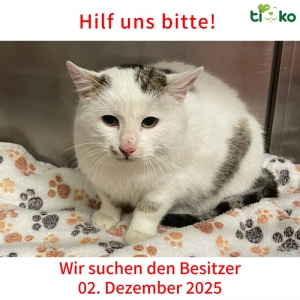 592395776_1221034999947852_3496648428590694151_n