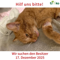 thumb_598788838_1231517225566296_2194400073363374710_n