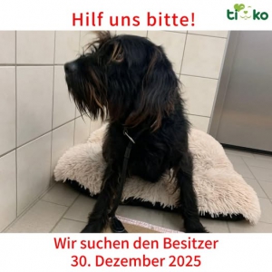 607437801_1240895711295114_8784859803127798286_n