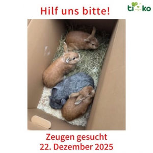 603749911_1235290651855620_5363778303163119603_n