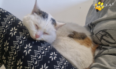 4107-1768143793-05655200