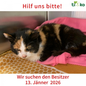 615416652_1250651353652883_5080042351944281023_n