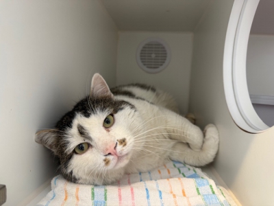 FUNDKATER_06.02.2026