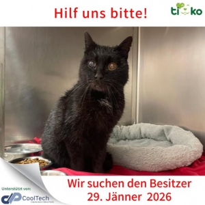 623371213_1263252255726126_3036369748307367722_n 623371213_1263252255726126_3036369748307367722_n