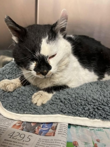 627937067_34720839460848234_6593794047972784447_n 627937067_34720839460848234_6593794047972784447_n