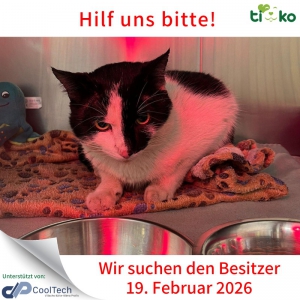 639572587_1280811967303488_3480102337347991519_n 639572587_1280811967303488_3480102337347991519_n