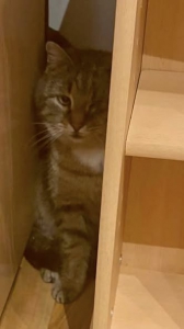 646200441_1383490200484960_8573481993677541321_n(1)