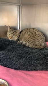 648136676_35124056893859820_5915471147790274457_n 648136676_35124056893859820_5915471147790274457_n