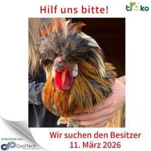 651335290_1296049355779749_2183336369033516811_n