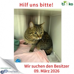 648638342_1294659839252034_2866886915208815324_n