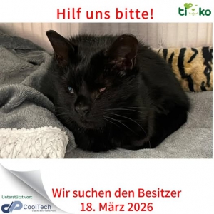 653351615_1301628811888470_7932395235387819756_n 653351615_1301628811888470_7932395235387819756_n