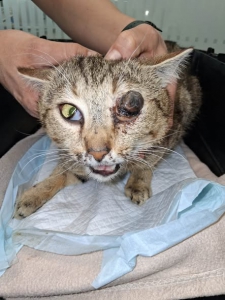 657908401_1399331795567467_4882107904481908166_n