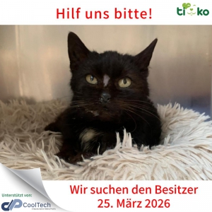 656590983_1307110334673651_4265740434381390051_n 656590983_1307110334673651_4265740434381390051_n