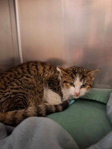 658919665_35522155480716624_8078446528172470837_n 658919665_35522155480716624_8078446528172470837_n