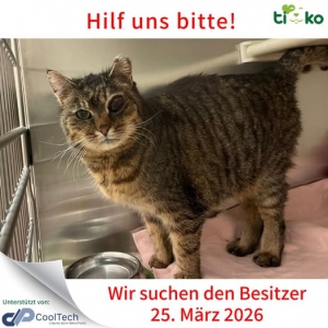 658142717_1307316194653065_4737269923562735593_n 658142717_1307316194653065_4737269923562735593_n