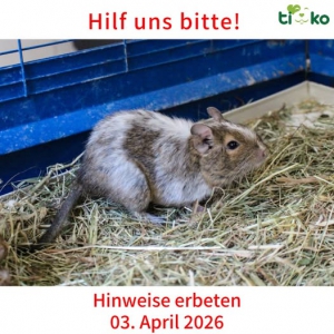 661875423_1314449720606379_7350482097856786640_n