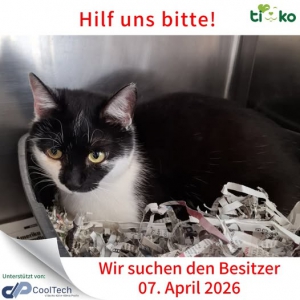 662676357_1317299430321408_6714470625504580336_n